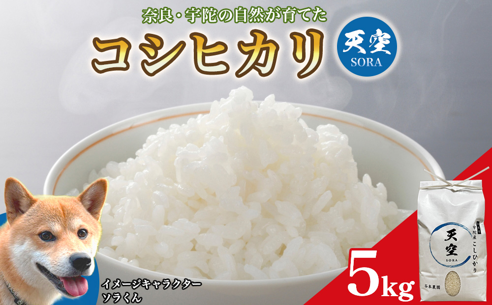宇陀の自然が育てた 天空【sora】コシヒカリ 5kg｜奈良県宇陀産 白米