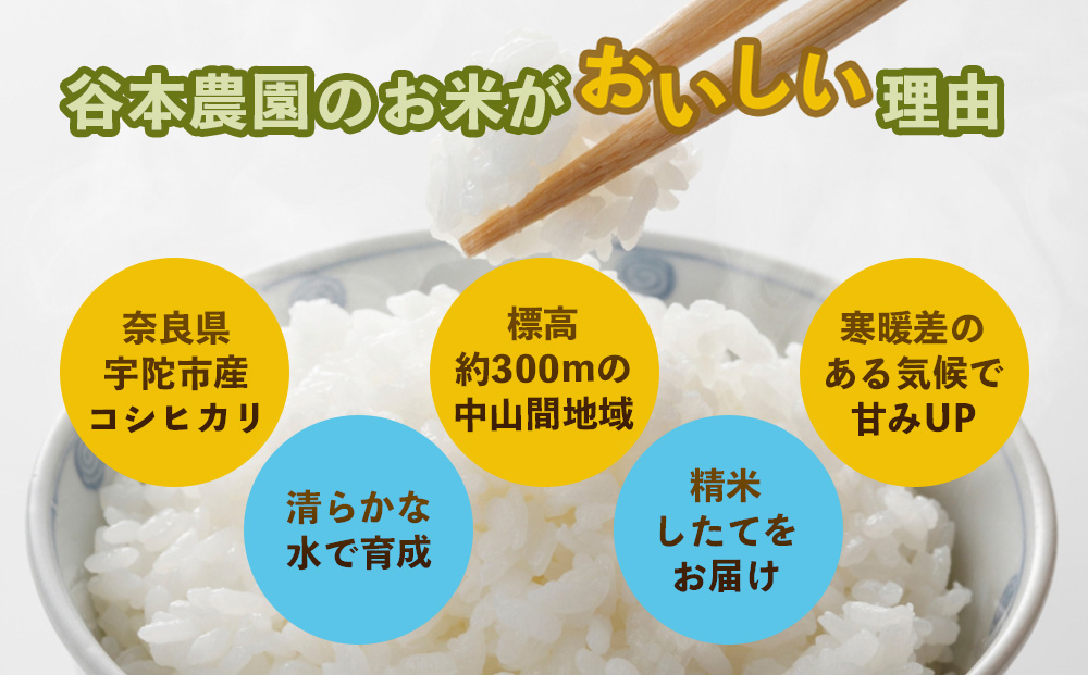 宇陀の自然が育てた 天空【sora】コシヒカリ 10kg｜奈良県宇陀産 白米