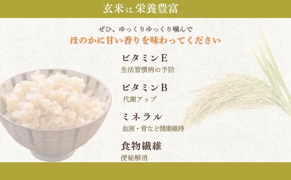 【定期便6回】【令和8年産】天真爛漫 3kg｜玄米・分づき・白米｜定期便6か月 ／ 無農薬 米 お米 こめ コメ 国産 新米 玄米 一等米 農家やまおか 有機肥料使用 農薬不使用 除草剤不使用 奈良県 宇陀市 ふるさと納税
