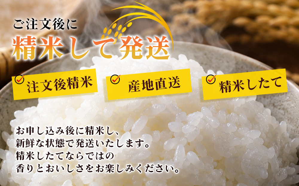 【先行予約】R8年度産 新米こしひかり白米9kg
