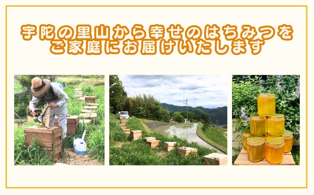 国産 純粋 はちみつ 里の花 125g 黄檗 125g (各2本)／ 蜂蜜 ハチミツ 非加熱 無添加 無加工 百花蜜 単花蜜 キハダ お取り寄せ 伊藤ゆう養蜂園 奈良県 宇陀市 ふるさと納税