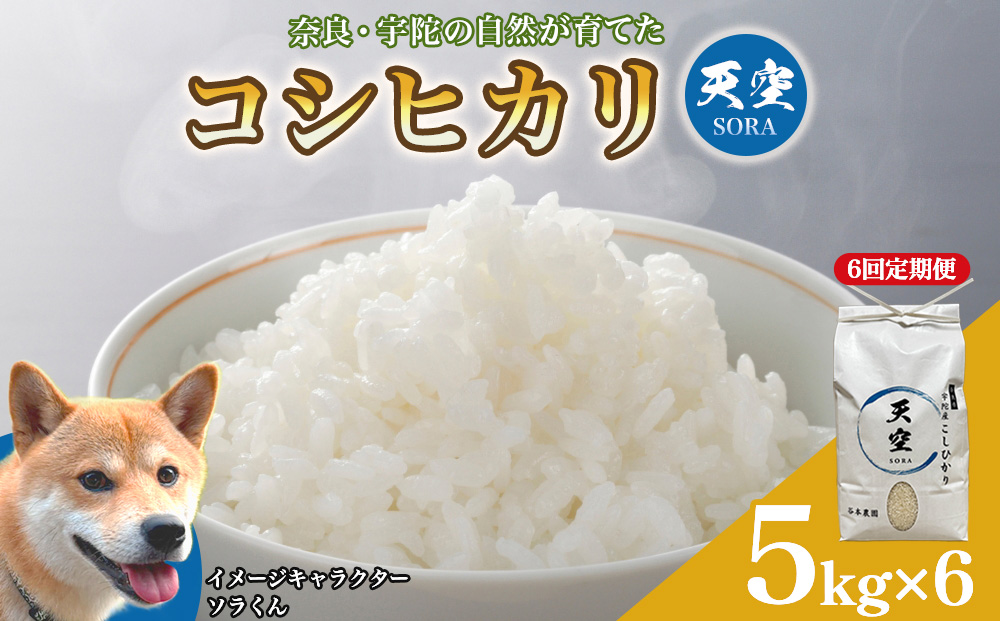 宇陀の自然が育てた 天空【sora】コシヒカリ 定期便 5kg×6回｜奈良県宇陀産 白米