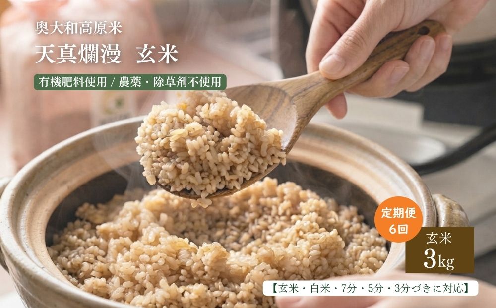 【定期便6回】【令和8年産】天真爛漫 3kg｜玄米・分づき・白米｜定期便6か月 ／ 無農薬 米 お米 こめ コメ 国産 新米 玄米 一等米 農家やまおか 有機肥料使用 農薬不使用 除草剤不使用 奈良県 宇陀市 ふるさと納税
