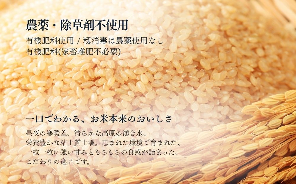 【定期便6回】天真爛漫 5kg ｜玄米・分づき・白米｜定期便6か月 ／ 無農薬 米 お米 こめ コメ 国産 新米 玄米 一等米 農家やまおか 有機肥料使用 農薬不使用 除草剤不使用 奈良県 宇陀市 ふるさと納税