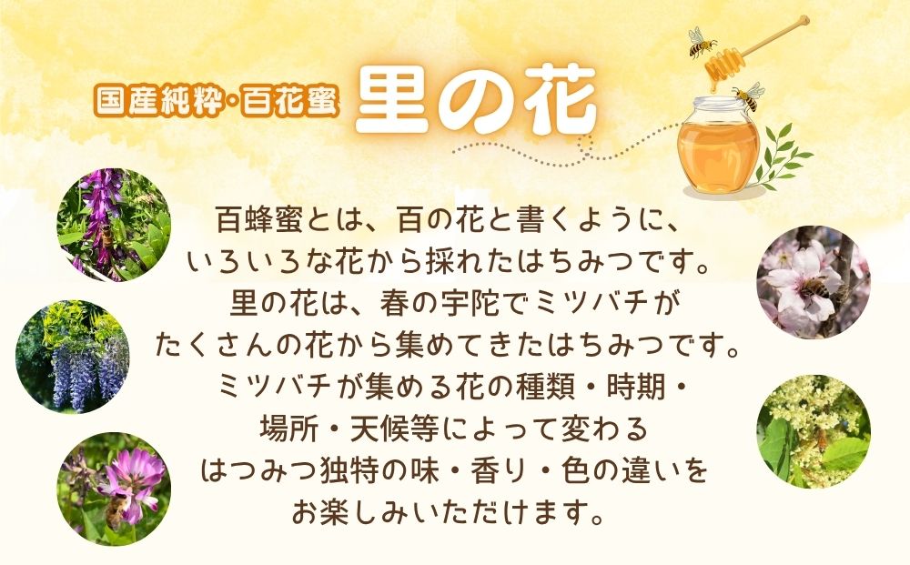 国産 純粋 はちみつ 里の花 125g 黄檗 125g (各2本)／ 蜂蜜 ハチミツ 非加熱 無添加 無加工 百花蜜 単花蜜 キハダ お取り寄せ 伊藤ゆう養蜂園 奈良県 宇陀市 ふるさと納税