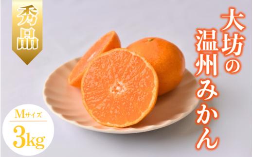 【2026年分先行予約】大坊の温州みかん 3kg（Mサイズ） ※2026年11月中旬～12月下旬頃に順次発送予定【期間限定・数量限定】 / みかん 蜜柑 3キロ お取り寄せ 産地直送 贈答品 ギフト 果物 くだもの フルーツ 田辺市 和歌山県【ymh017】