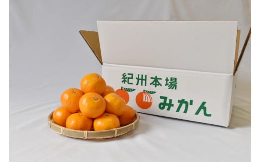 【2026年分先行予約】大坊の温州みかん 5kg（Mサイズ） ※2026年11月中旬～12月下旬頃に順次発送予定【期間限定・数量限定】 / みかん 蜜柑 5キロ お取り寄せ 産地直送 贈答品 ギフト 果物 くだもの フルーツ 田辺市 和歌山県【ymh018】
