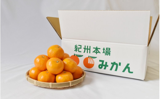 【2026年分先行予約】大坊の温州みかん 5kg（Sサイズ） ※2026年11月中旬～12月下旬頃に順次発送予定【期間限定・数量限定】 / みかん 蜜柑 小玉 小粒 こだま こつぶ 5キロ お取り寄せ 産地直送 贈答品 ギフト 果物 くだもの フルーツ 田辺市 和歌山県【ymh016】