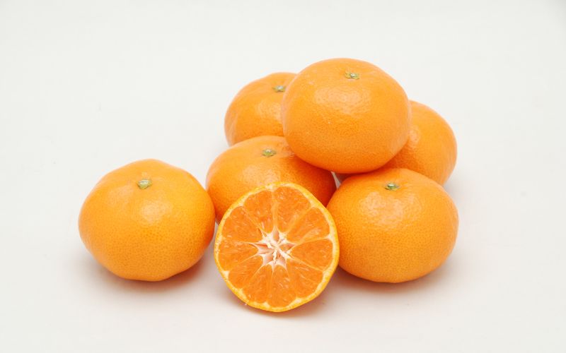 温州みかん 宮川早生 5kg 大坊 / 田辺市 温州みかん みかん 大坊みかん 坂も農園 フルーツ【sme008】