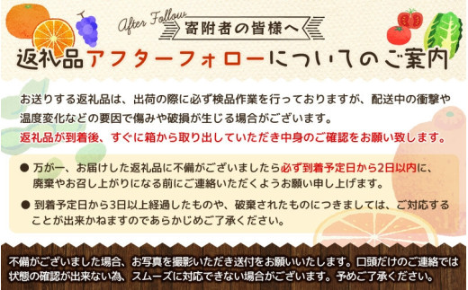 ＜先行予約＞すもも（大石）約500g×8パック ※2027年5月中旬～6月中旬頃に順次発送予定【期間限定・数量限定】 / スモモ プラム 冷蔵 季節限定 お取り寄せ 産地直送 贈答品 ギフト 果物 フルーツ 田辺市 和歌山県【ymh023-1】