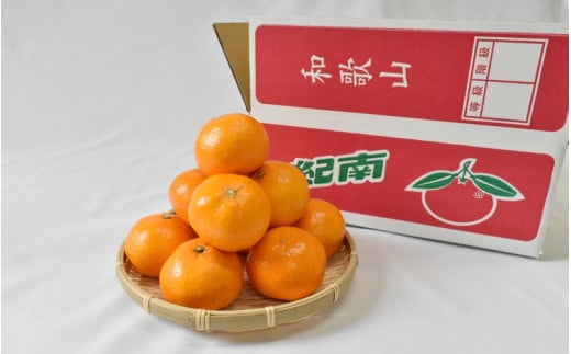 【2026年分先行予約】大坊の温州みかん 3kg（Lサイズ） ※2026年11月中旬～12月下旬頃に順次発送予定【期間限定・数量限定】 / みかん 蜜柑 3キロ お取り寄せ 産地直送 贈答品 ギフト 果物 くだもの フルーツ 田辺市 和歌山県【ymh019】