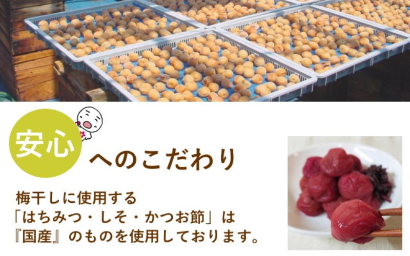 紀州南高梅 旨とろり梅 はちみつ入り 104g(52g×2) 個包装 / 和歌山 和歌山県産 田辺市 南高梅 はちみつ梅干し 梅干し 個包装【nag008】