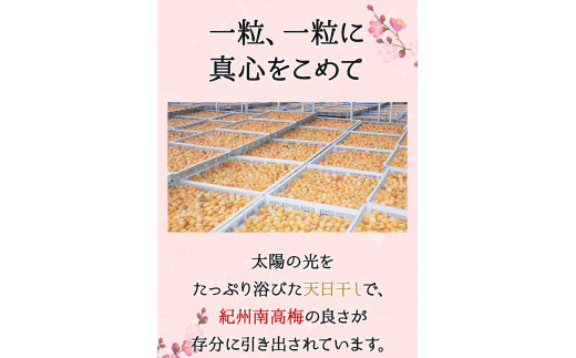 そのまんま白干梅 A級品 計1kg（250g×4個） / 梅干し 梅干 梅 和歌山 和歌山県産 田辺市 紀州南高梅 南高梅 白干し梅 無添加 しょっぱい梅干し 昔ながらの梅干し なつかしい A級【kfo007-1】