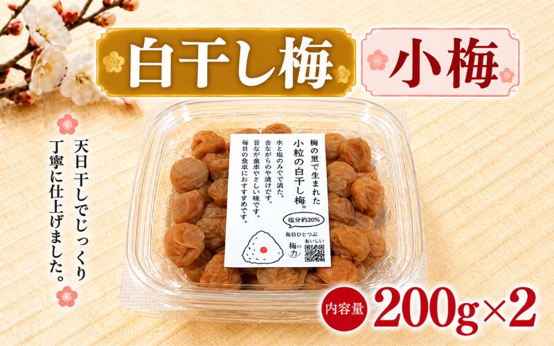 【毎日ひとつぶ】 小梅 200g×2 塩分約20％ / 小梅 梅 熱中症よけ 和歌山県産梅 和歌山県 田辺市 【khu006】