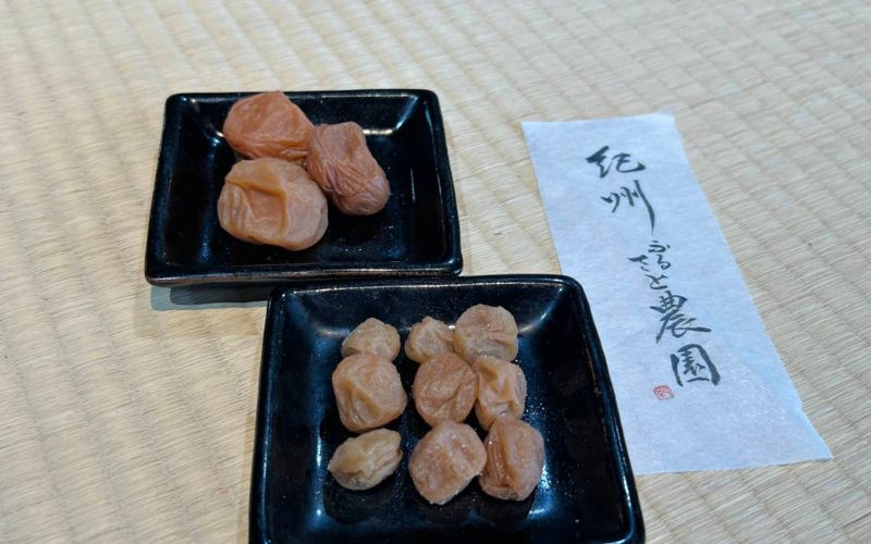 【毎日ひとつぶ】 小梅 200g×2 塩分約20％ / 小梅 梅 熱中症よけ 和歌山県産梅 和歌山県 田辺市 【khu006】