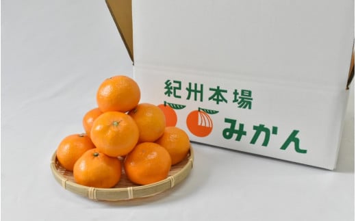 【2026年分先行予約】大坊の温州みかん 5kg（Lサイズ） ※2026年11月中旬～12月下旬頃に順次発送予定【期間限定・数量限定】 / みかん 蜜柑 5キロ お取り寄せ 産地直送 贈答品 ギフト 果物 くだもの フルーツ 田辺市 和歌山県【ymh020】