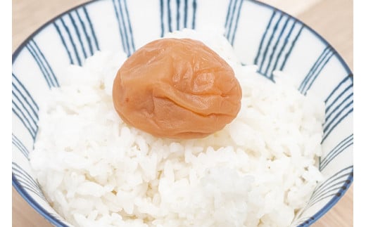 紀州南高梅　梅フレッシュ（塩分約5％）1.1ｋｇ ×２ / 田辺市 紀州南高梅 南高梅 梅干し 梅干 梅 うめ 肉厚 お米 おにぎり 焼酎 梅酒 健康 はちみつ入り 減塩 塩分控えめ ご飯のお供【fuz020-2】