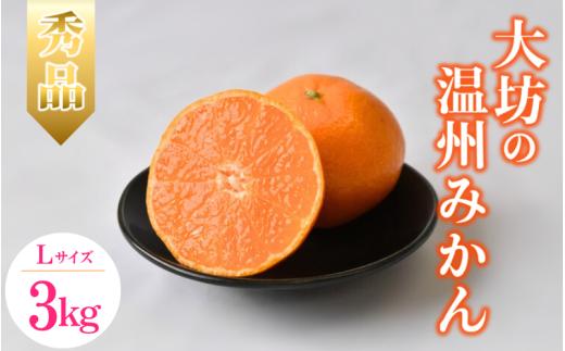【2026年分先行予約】大坊の温州みかん 3kg（Lサイズ） ※2026年11月中旬～12月下旬頃に順次発送予定【期間限定・数量限定】 / みかん 蜜柑 3キロ お取り寄せ 産地直送 贈答品 ギフト 果物 くだもの フルーツ 田辺市 和歌山県【ymh019】
