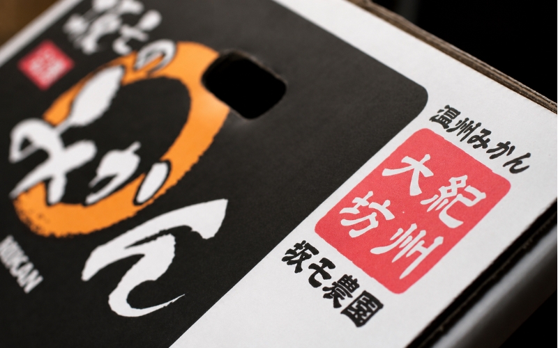 木成完熟越冬葉付みかん SM混合 5kg大坊 / 田辺市 温州みかん みかん 大坊みかん 坂も農園 フルーツ【sme011】
