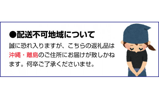【予約受付】ブラッドオレンジジュース　700ml×1本 / 和歌山県 田辺市 ブラッドオレンジ オレンジジュース 果汁100% ストレート 無添加 和歌山県産【mrn001-2】