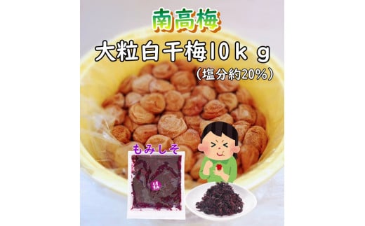 紀州南高梅　ほんまもんの梅干し（塩分20％） 秀品　2Lサイズ　10kg×２樽+もみしそ（750g） / 新梅 田辺市 紀州南高梅 南高梅 梅干 梅 しそ 秀品 樽入り 和歌山 樽漬け【mry010-4】