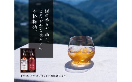 「HAMADA」赤ラベル＆白ラベル 梅酒2本セット　時を感じる本格梅酒セット / 田辺市 梅干し 梅干 梅 うめ 梅酒 酒 紀州産 完熟梅 南高梅 本格梅酒 セット ギフト【isg023-1】