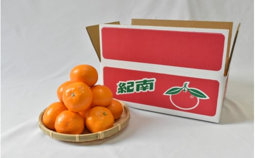 【2026年分先行予約】大坊の温州みかん 3kg（Mサイズ） ※2026年11月中旬～12月下旬頃に順次発送予定【期間限定・数量限定】 / みかん 蜜柑 3キロ お取り寄せ 産地直送 贈答品 ギフト 果物 くだもの フルーツ 田辺市 和歌山県【ymh017】