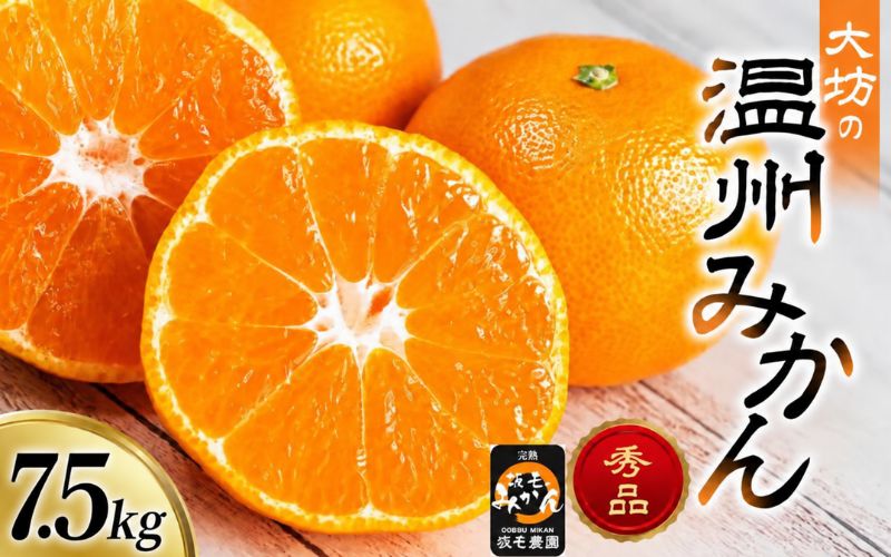 温州みかん 宮川早生 7.5kg 大坊 / 田辺市 温州みかん みかん 大坊みかん 坂も農園 フルーツ【sme009】