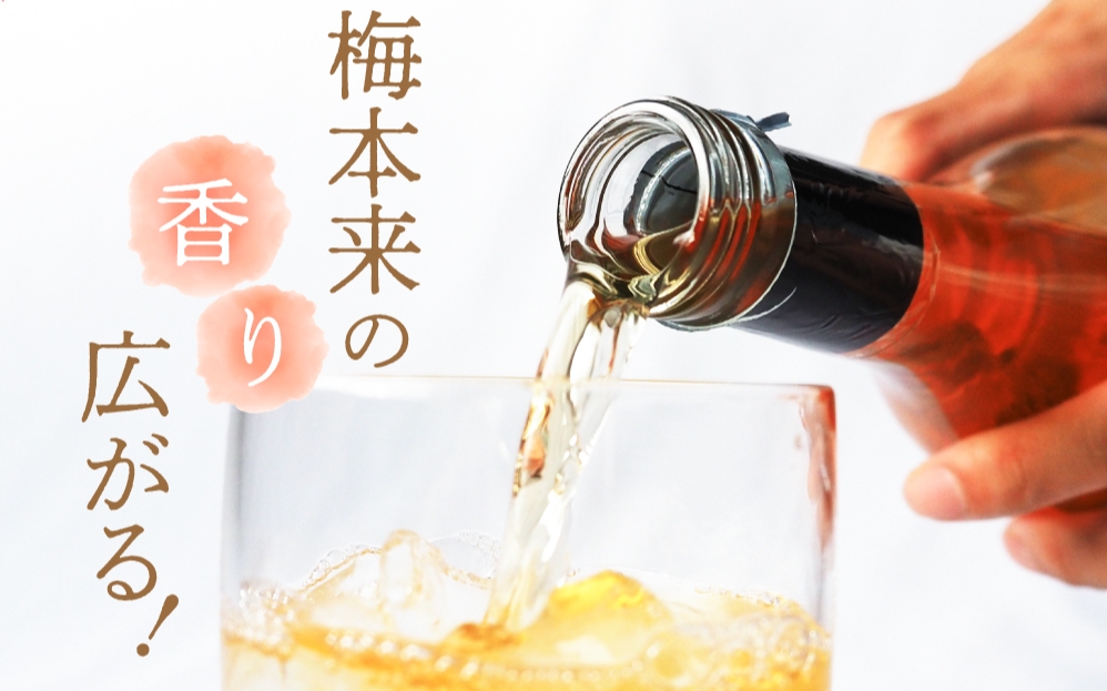 紀州梅酒 720ｍl×4本入（化粧箱なし） / 和歌山 田辺市 紀州南高梅 南高梅 梅酒 梅 ロック 水割り 宅飲み 家飲み 家庭用 化粧箱なし【umy001】
