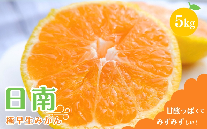 【先行予約】 【秀品】 極早生みかん 日南 5kg（S～Lサイズ混合） ※2026年10月より順次発送 / みかん ミカン 蜜柑 和歌山 早生 極早生 日南 温州 田辺市 紀州 くだもの 柑橘 フルーツ 【aoi003-1】