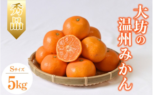 【2026年分先行予約】大坊の温州みかん 5kg（Sサイズ） ※2026年11月中旬～12月下旬頃に順次発送予定【期間限定・数量限定】 / みかん 蜜柑 小玉 小粒 こだま こつぶ 5キロ お取り寄せ 産地直送 贈答品 ギフト 果物 くだもの フルーツ 田辺市 和歌山県【ymh016】