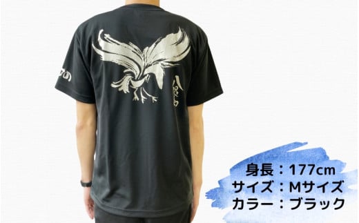 八咫烏Tシャツ / 和歌山 田辺市 本宮 熊野本宮大社 八咫烏 やたがらす 服 ティーシャツ 日用品 雑貨【ptl006】