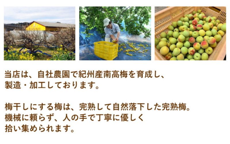紀州南高梅 旨とろり梅 はちみつ入り 104g(52g×2) 個包装 / 和歌山 和歌山県産 田辺市 南高梅 はちみつ梅干し 梅干し 個包装【nag008】