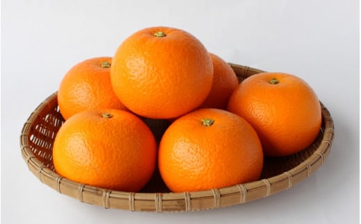 ＜先行予約＞紅八朔【秀品】5kg ※2027年2月中旬～3月中旬頃に順次発送予定【期間限定・数量限定】 / はっさく ハッサク 柑橘 季節限定 お取り寄せ 産地直送 贈答品 ギフト 果物 フルーツ 田辺市 和歌山県【ymh003-1】