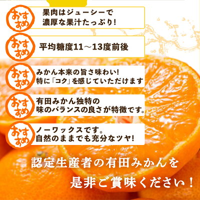 【2026年先行予約】有田みかん約7.5kg(+傷み補填分500g)=合計8kg【サイズおまかせ】 / 産地直送 / 紀伊国屋文左衛門本舗（お届け日指定不可）_V7441