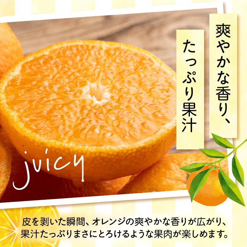 【2027年先行予約】和歌山県有田産 完熟 清見オレンジ 5kg ひとつひとつ丁寧に厳選！生産者から直送【清見 みかん オレンジ タンゴール きよみ 柑橘 和歌山 有田】_ZN6001n