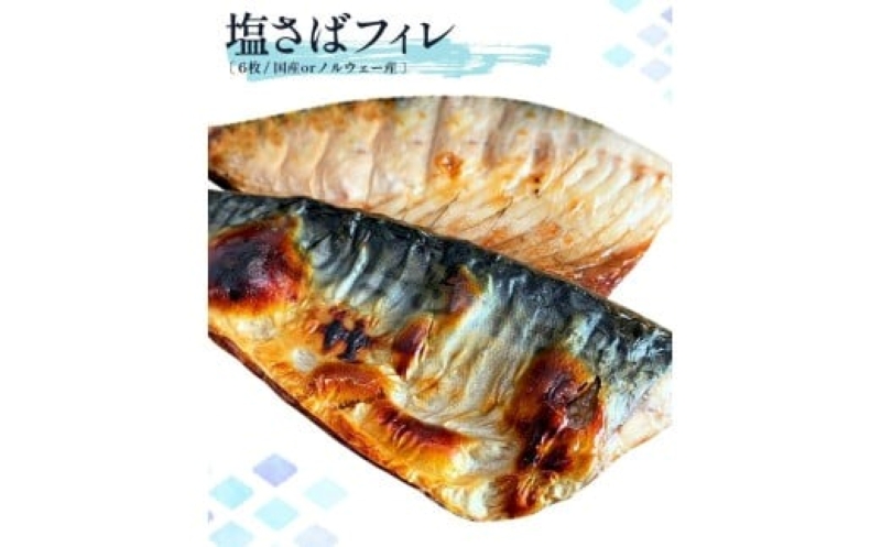 迷ったらコレ！！魚鶴商店の天然紅サケ 1kg & 塩さば 6枚セット_G7319