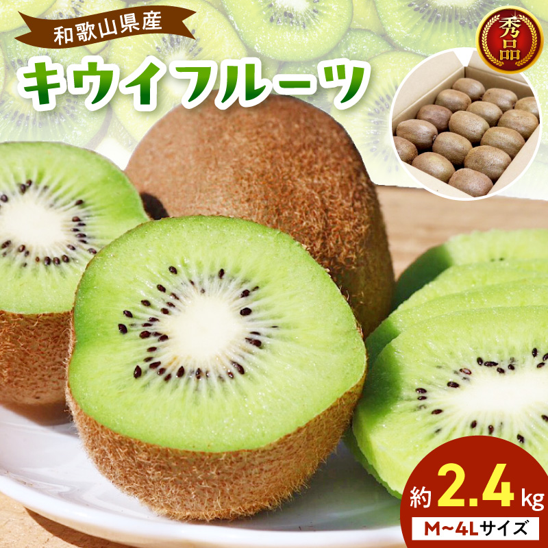 【2027年1月下旬から順次発送】和歌山産　キウイフルーツ　M～4Lサイズ　約2.4kg　秀品 _BL6176