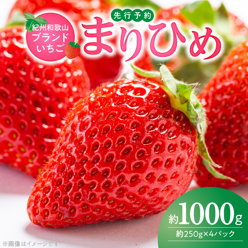 【2027年先行予約】 紀州和歌山ブランド いちご まりひめ 250g×4P_G7346