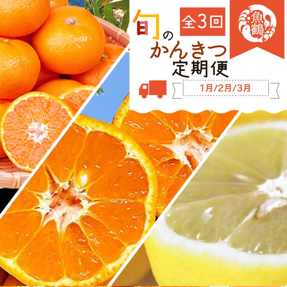 【定期便 全3回】紀州和歌山産旬の柑橘セット（みかん・ポンカン・レモン）_G60-T42