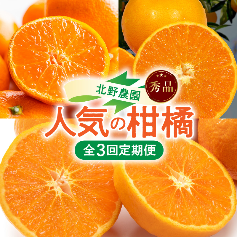 北野農園の人気の柑橘定期便（秀品）【全3回】_DZ60-T02
