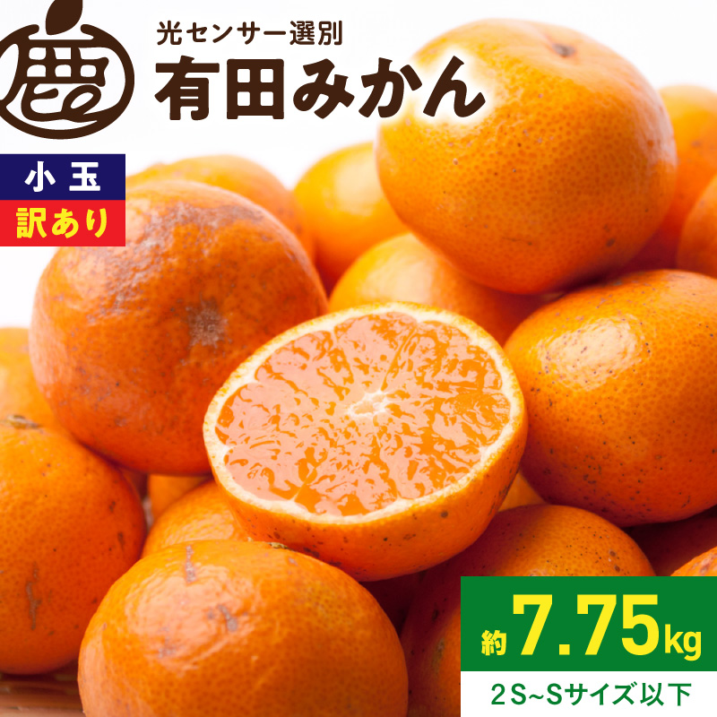 家庭用 小玉な有田みかん約7.5kg+250g（傷み補償分）【わけあり・訳あり】【光センサー選果】_ZH7062