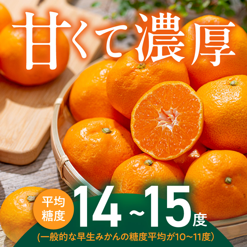 【2026年先行予約】「高級 田村みかん」 青秀 約5kg Lサイズ 和歌山県有田産 有田みかん_U6243n