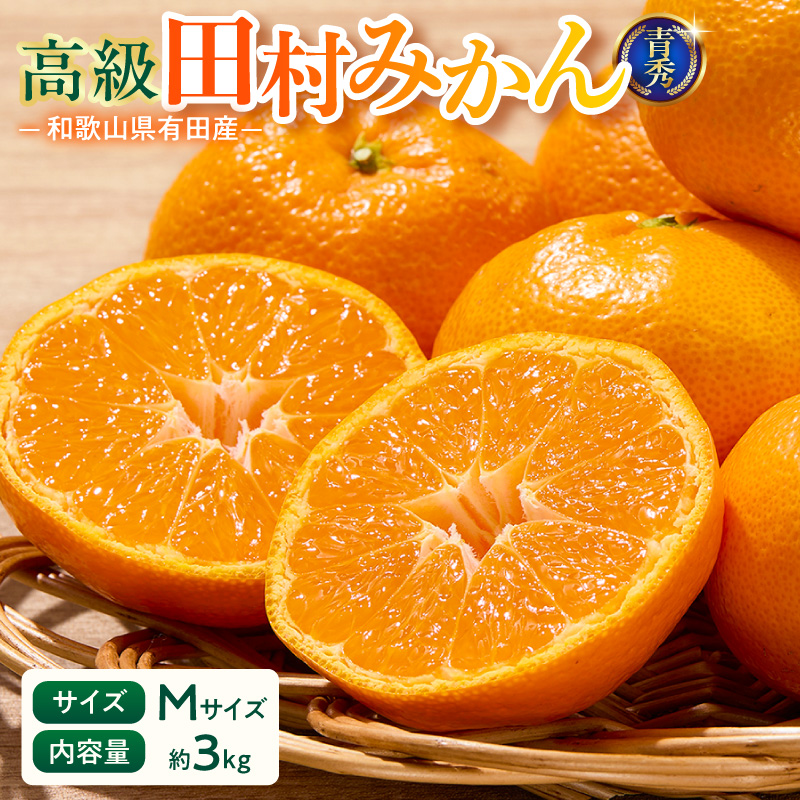 【2026年先行予約】「高級 田村みかん」 青秀 約3kg Mサイズ 和歌山県有田産 有田みかん_U6239n