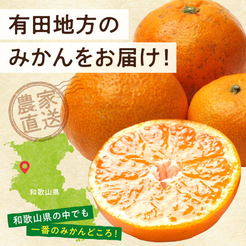 家庭用 完熟有田みかん約2.5kg+250g（傷み補償分）【わけあり・訳あり】【光センサー選果】_ZH7127
