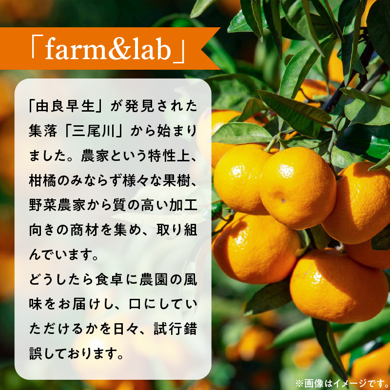 みかんジュース 1L×3本「ゆら絞りみかん 無添加」_DG6006n