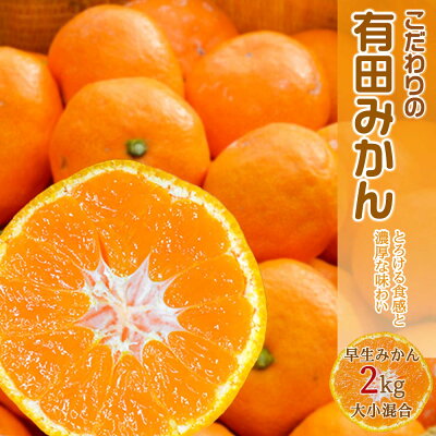 濃厚な味わいのこだわり 有田みかん 2kg (早生みかん・大小混合)_EA6015n