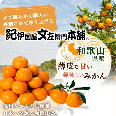 【2026年先行予約】有田みかん約7.5kg(+傷み補填分500g)=合計8kg【サイズおまかせ】 / 産地直送 / 紀伊国屋文左衛門本舗（お届け日指定不可）_V7441