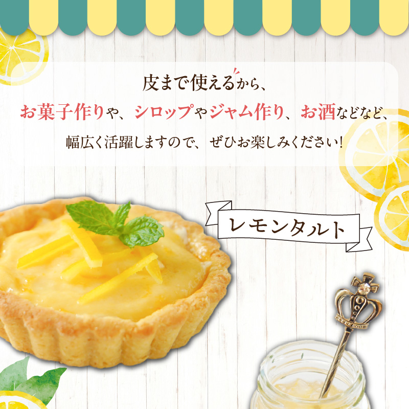 【2027年先行予約】和歌山県産 完熟 レモン 7kg 皮まで使用可能（栽培期間中農薬不使用）_EA6012n