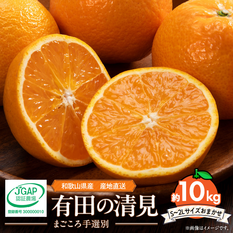 【2027年先行予約】和歌山県産 有田の 清見 10kg (S～2Lサイズ)【サイズおまかせ】【まごころ手選別】_ZE6366n